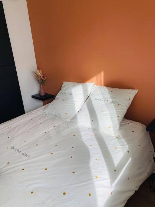 Appartement Liv'In St Seb à Saint-Sébastien-sur-Loire Extérieur photo